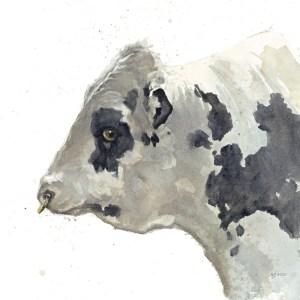 HolsteinBull-Leo-watercol-pic-11-cmyk