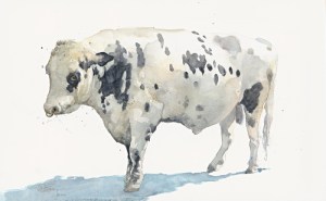 'Leo' Holstein Bull