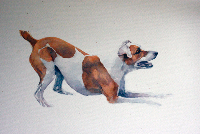 Dog
