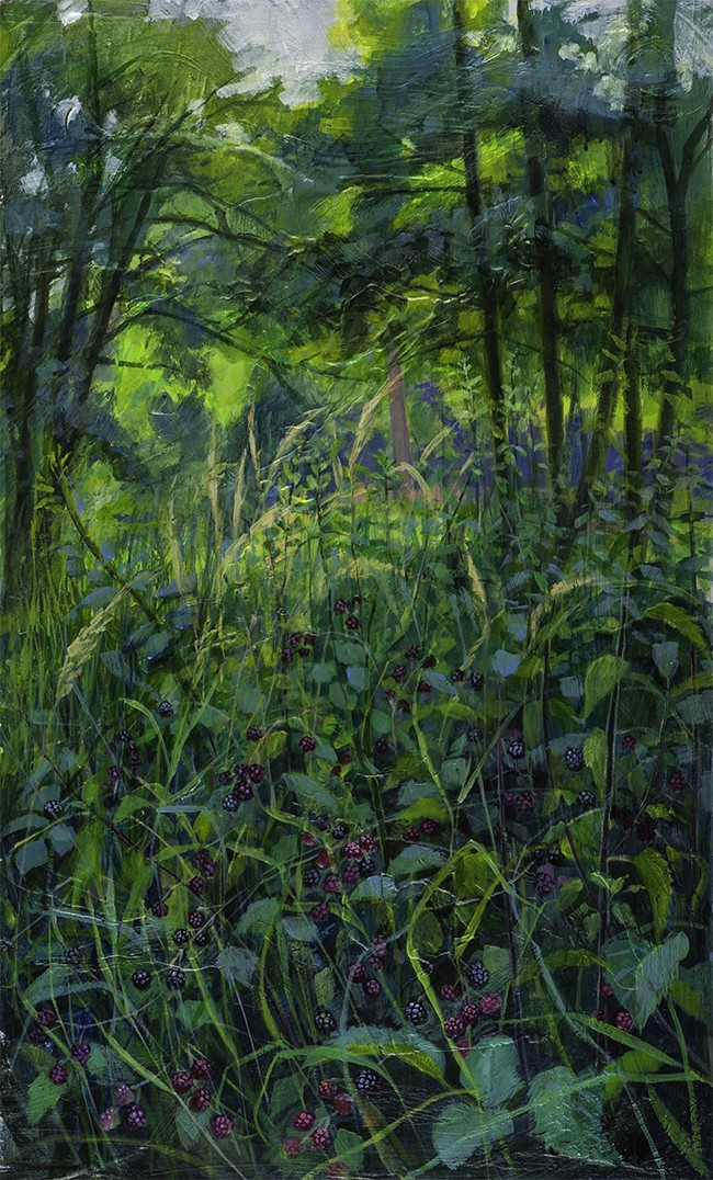 Brambles, Blackberries