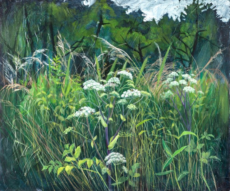 Cow parsley with bees