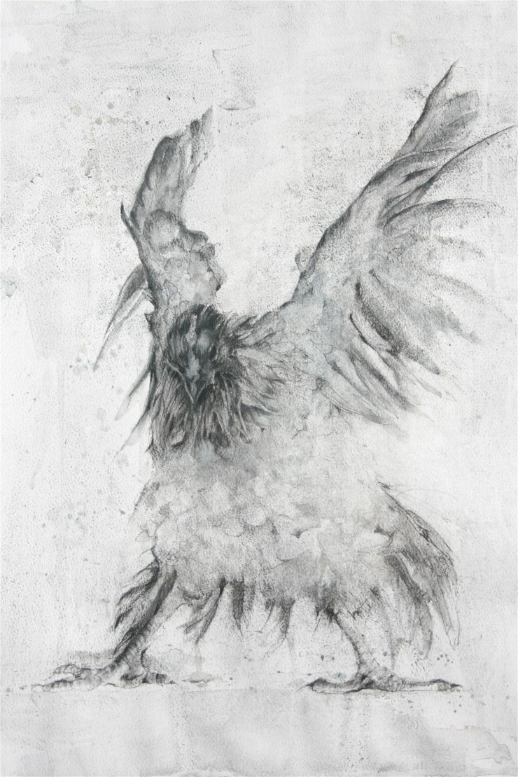 FlappingHen_Charcoal_70x60cm