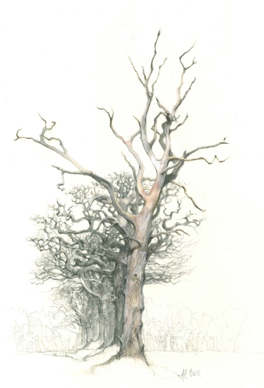 Dead tree Barton turf, 25/1/2015