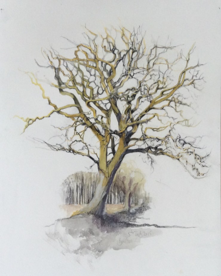 Barton rd, Beeston 5/2/2015