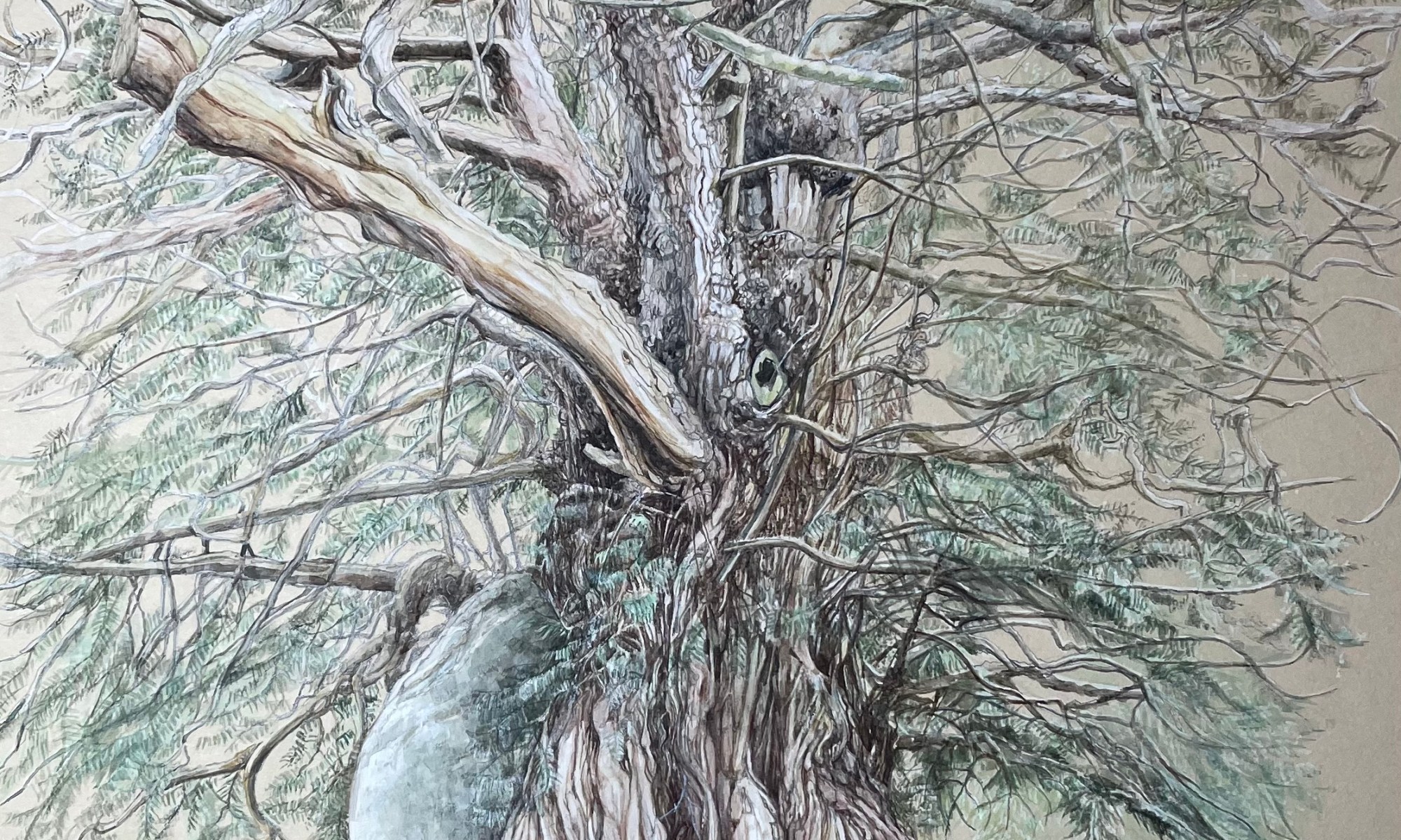 Tisbury Yew 2024 by Alex Egan